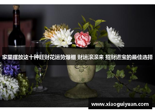 家里摆放这十种旺财花运势爆棚 财运滚滚来 招财进宝的最佳选择