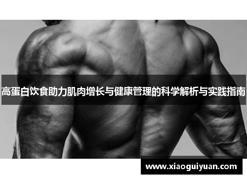 高蛋白饮食助力肌肉增长与健康管理的科学解析与实践指南